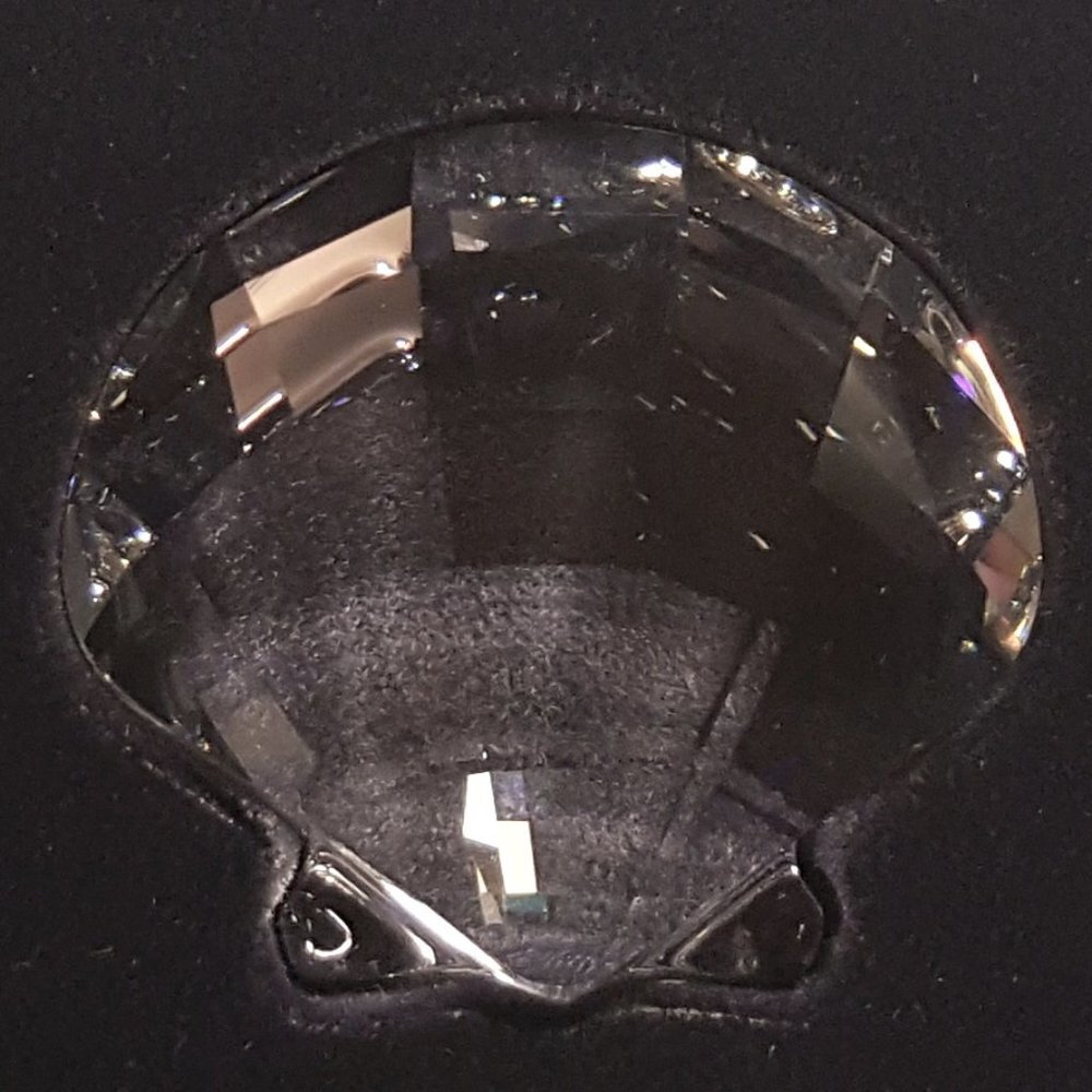 🇦🇹 SWAROVSKI Shell Paperweight - Picture 11 of 16